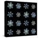 Set with Snowflakes Isolated on Black Background. this is Macro Photos of Real Snow Crystals: Mediu-Alexey Kljatov-Stretched Canvas