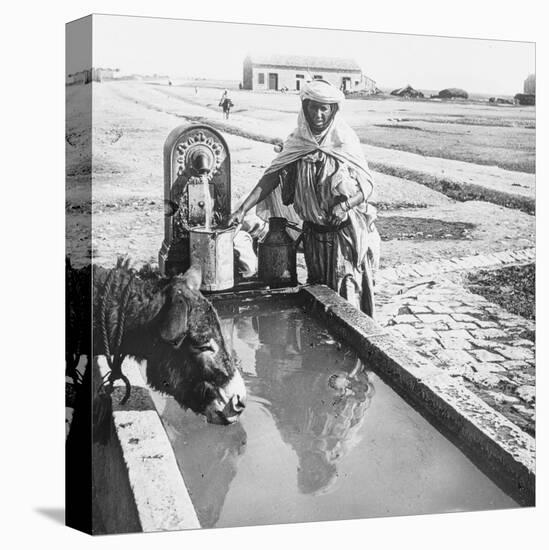 Sétif. Une fontaine-null-Premier Image Canvas