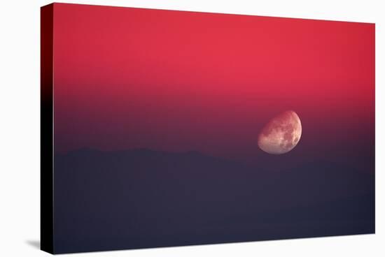 Setting Moon In a Red Sky-Detlev Van Ravenswaay-Premier Image Canvas