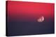 Setting Moon In a Red Sky-Detlev Van Ravenswaay-Premier Image Canvas