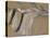 Seule-Henri de Toulouse-Lautrec-Premier Image Canvas