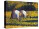 Seurat: Farm Women, C1882-Georges Seurat-Premier Image Canvas