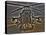 Seven Exposure HDR Image of an AH-64D Apache Helicopter as it Sits on its Pad-Stocktrek Images-Premier Image Canvas