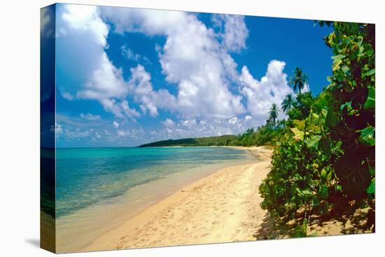 Seven Seas Beach, Fajardo, Puerto Rico-George Oze-Premier Image Canvas