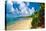 Seven Seas Beach, Fajardo, Puerto Rico-George Oze-Premier Image Canvas