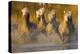 Seven White Camargue Horses Running in Water, Provence, France-Jaynes Gallery-Premier Image Canvas