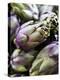 Several Artichokes-Stephan Caraccio-Premier Image Canvas