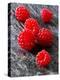 Several Japanese Wineberries on a Stone Board-Paul Williams-Premier Image Canvas