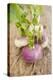 Several Turnips-Foodcollection-Premier Image Canvas