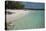 Seychelles, Aldabra Island Group, Aldabra Atoll, Picard Island. Remote pristine white sand beach.-Cindy Miller Hopkins-Premier Image Canvas