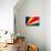 Seychelles Flag Design with Wood Patterning - Flags of the World Series-Philippe Hugonnard-Stretched Canvas displayed on a wall