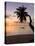 Seychelles, Mahe Island, Horizontal Palm, Fairyland Beach, Dawn-Walter Bibikow-Premier Image Canvas