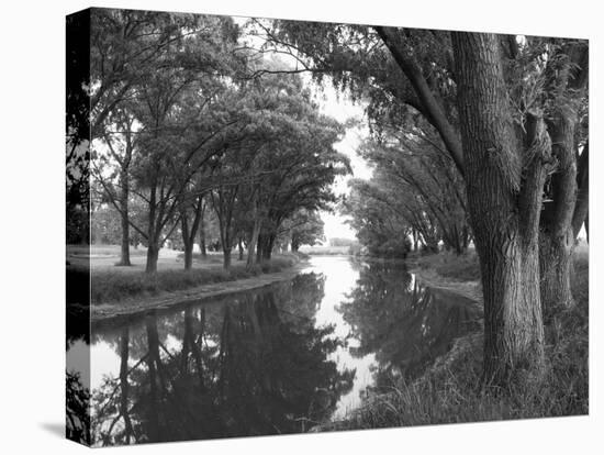 Shaded River in the Pampa Region, Argentina-Michele Molinari-Premier Image Canvas