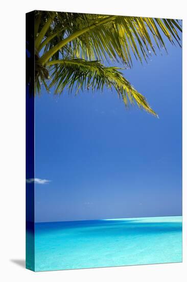 Shades of Blue and Palm Tree, Tropical Beach, Maldives, Indian Ocean, Asia-Sakis-Premier Image Canvas