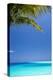 Shades of Blue and Palm Tree, Tropical Beach, Maldives, Indian Ocean, Asia-Sakis-Premier Image Canvas