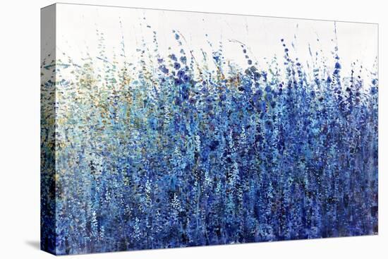 Shades Of Blue Wild Flowers-Tim O'toole-Premier Image Canvas