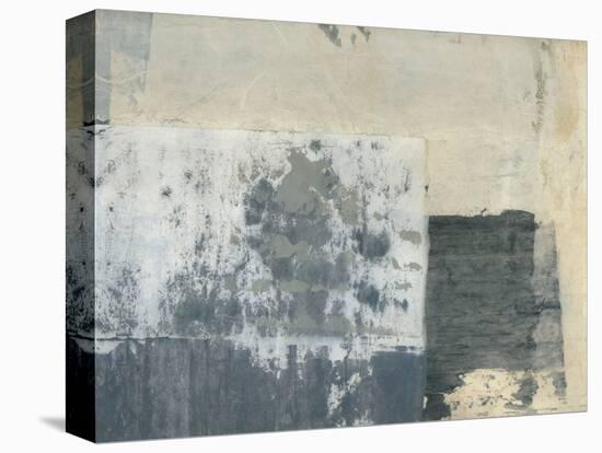 Shades of Grey VI-Elena Ray-Stretched Canvas