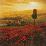 Shades of Poppies-Steve Thoms-Stretched Canvas