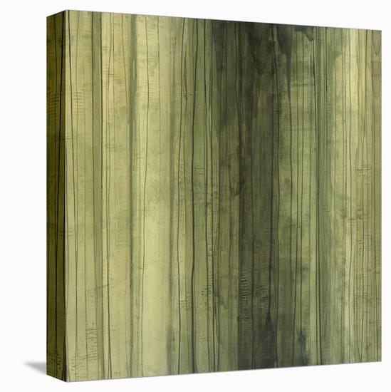 Shades of Sage-Randy Hibberd-Stretched Canvas