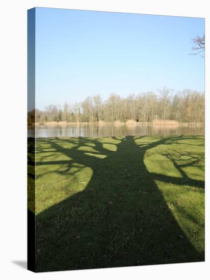 Shadow Cast by Large English Oak Tree (Quercus Robur) on Ornamental Lake, Corsham, England-Nick Upton-Premier Image Canvas