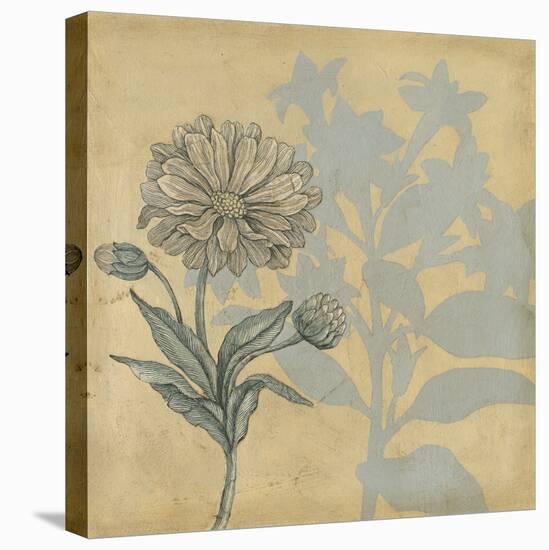 Shadow Floral III-Megan Meagher-Stretched Canvas