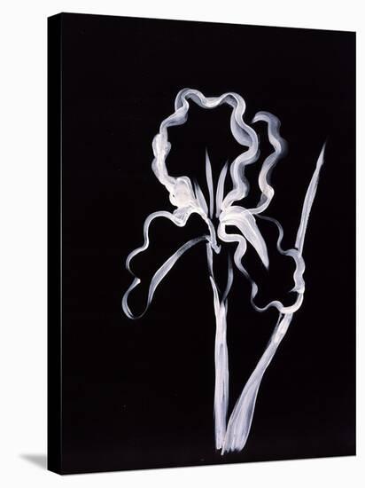 Shadow Iris-Susan Gillette-Premier Image Canvas