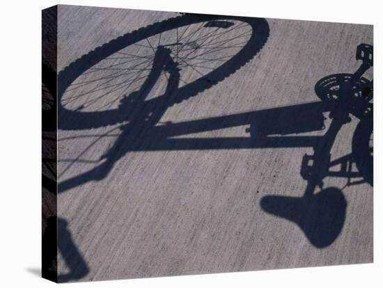 Shadow of a Bicycle-null-Premier Image Canvas