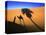 Shadow of Camel and Palm Tree-Martin Harvey-Premier Image Canvas