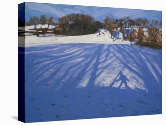 Shadow of Sledger, 2008-Andrew Macara-Premier Image Canvas