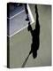 Shadow of Tennis Player in Action-null-Premier Image Canvas