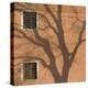 Shadow of Tree on Orange Venice Building Exterior-Mike Burton-Premier Image Canvas