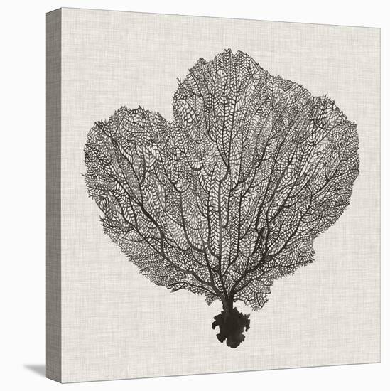 Shadow Sea Fan I-Grace Popp-Stretched Canvas