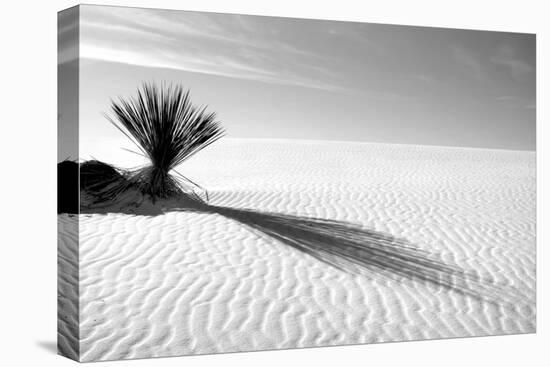 Shadows in the Sand I-Douglas Taylor-Premier Image Canvas