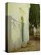 Shadows on a Wall in Corfu-John Singer Sargent-Premier Image Canvas