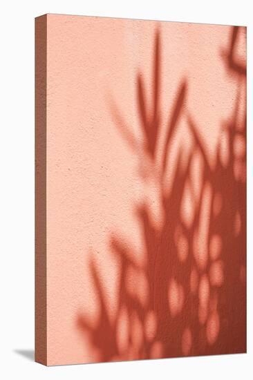 Shadows-Henrike Schenk-Premier Image Canvas