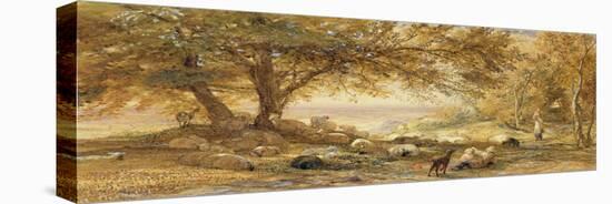 Shady Quiet-Samuel Palmer-Premier Image Canvas