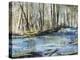 Shady River-Alexys Henry-Premier Image Canvas