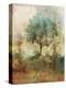 Shady Tree-Ken Roko-Stretched Canvas