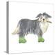 Shaggy Dog I-Kate Mawdsley-Stretched Canvas