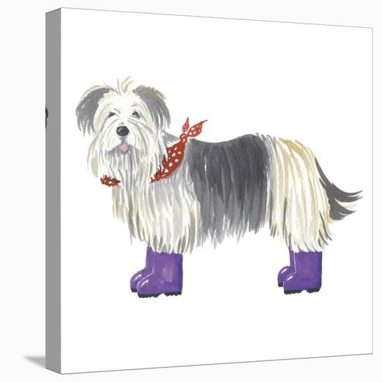 Shaggy Dog II-Kate Mawdsley-Stretched Canvas