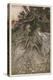 Shakespeare, Puck, Fairy-Arthur Rackham-Premier Image Canvas