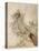 Shakespeare; Titania-Arthur Rackham-Premier Image Canvas