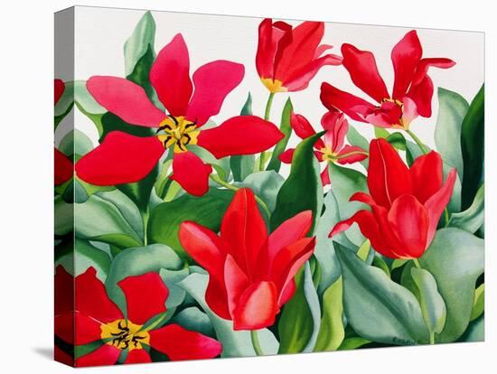 Shakespeare Tulips-Christopher Ryland-Premier Image Canvas
