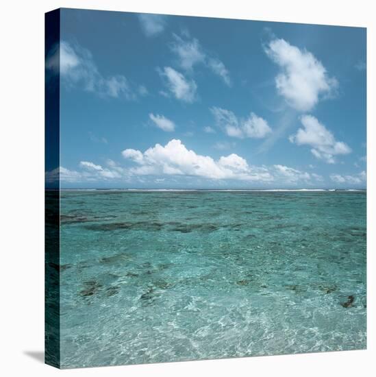 Shallow Area of the Ocean-null-Premier Image Canvas