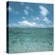 Shallow Area of the Ocean-null-Premier Image Canvas