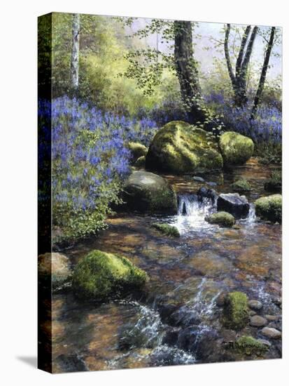 Shallow Brook-Bill Makinson-Premier Image Canvas