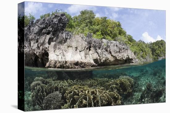 Shallow Coral Reef, Raja Ampat, West Papua, Indonesia-Reinhard Dirscherl-Premier Image Canvas