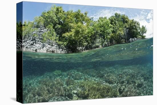 Shallow Coral Reef, Raja Ampat, West Papua, Indonesia-Reinhard Dirscherl-Premier Image Canvas