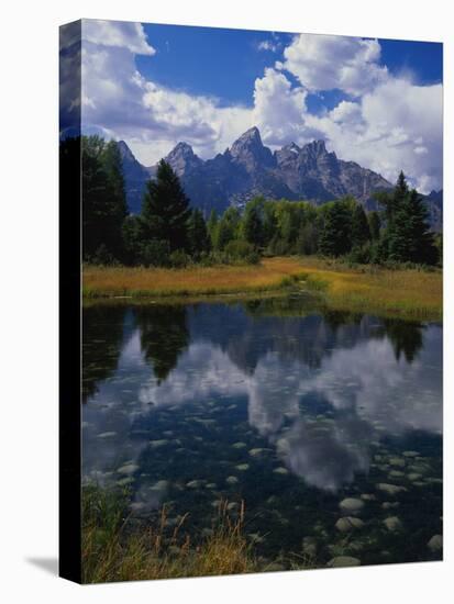Shallow Pond Near Teton Range-James Randklev-Premier Image Canvas
