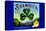 Shamrock Brand Valencias-null-Stretched Canvas